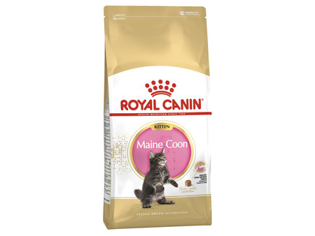 ROYAL CANIN® Maine Coon Kitten Dry Cat Food