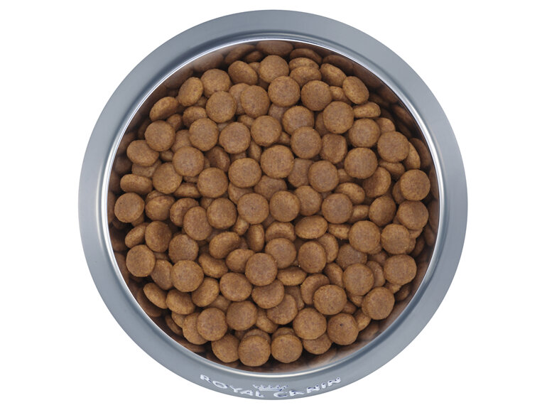 ROYAL CANIN® Maxi Adult 5+ Dry Dog Food