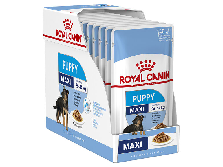 ROYAL CANIN® Maxi Puppy Gravy Wet Dog Food 10 x 140g