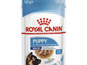 ROYAL CANIN® Maxi Puppy Gravy Wet Dog Food 10 x 140g