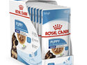 ROYAL CANIN® Maxi Puppy Gravy Wet Dog Food 10 x 140g