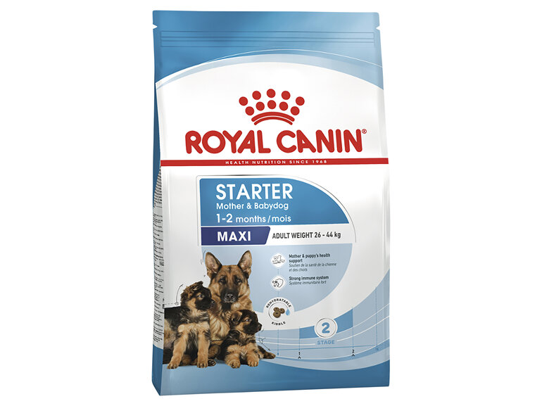 ROYAL CANIN® Maxi Starter Mother & Babydog Dry Dog Food