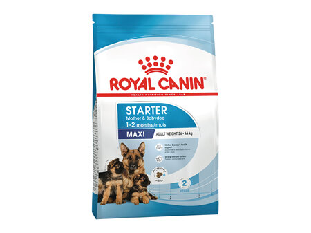 ROYAL CANIN® Maxi Starter Mother & Babydog Dry Dog Food