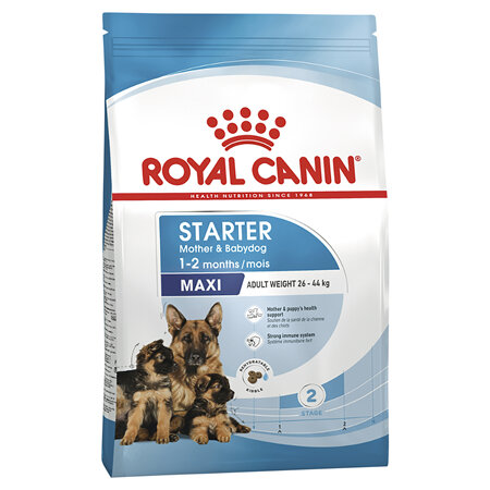 ROYAL CANIN® Maxi Starter Mother & Babydog Dry Dog Food