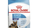 ROYAL CANIN® Maxi Starter Mother & Babydog Dry Dog Food