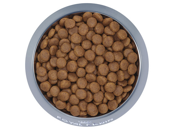 ROYAL CANIN® Medium Adult 7+ Dry Dog Food