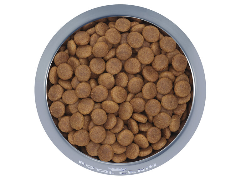 ROYAL CANIN® Medium Adult Dry Dog Food