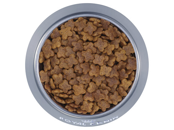 ROYAL CANIN® Mini Adult 8+ Dry Dog Food