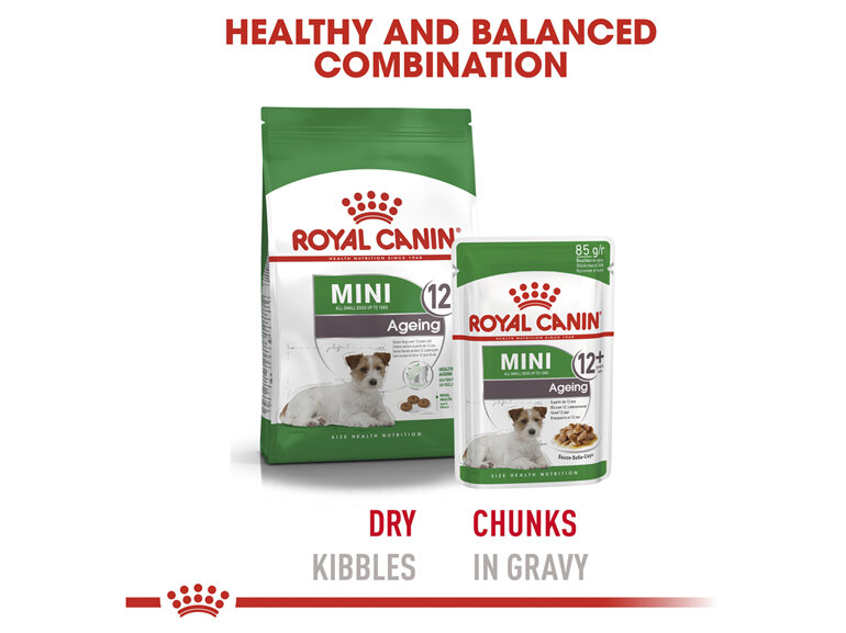 ROYAL CANIN® Mini Ageing 12+ Gravy Wet Dog Food 12 x 85g