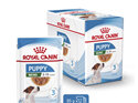 ROYAL CANIN® Mini Puppy Gravy Wet Dog Food 12 x 85g