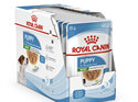 ROYAL CANIN® Mini Puppy Gravy Wet Dog Food 12 x 85g