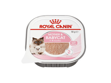 ROYAL CANIN® Mother and Babycat Mousse Wet Cat Food