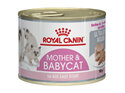 ROYAL CANIN® Mother & Babycat Mousse Wet Cat Food