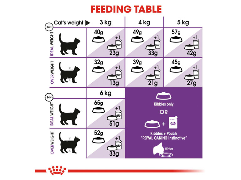 ROYAL CANIN® Regular Sensible Dry Cat Food