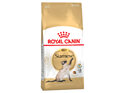 ROYAL CANIN® Siamese Adult Dry Cat Food