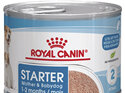 ROYAL CANIN® Starter Mother and Babydog Mousse Wet Dog Food 195g