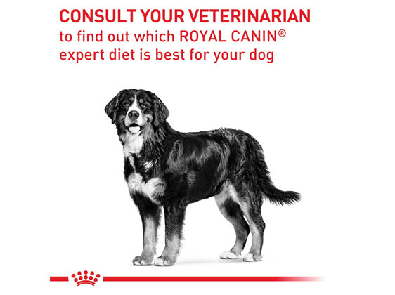 ROYAL CANIN® Veterinary Diet Canine Adult Large Dogs Dry Dog Food