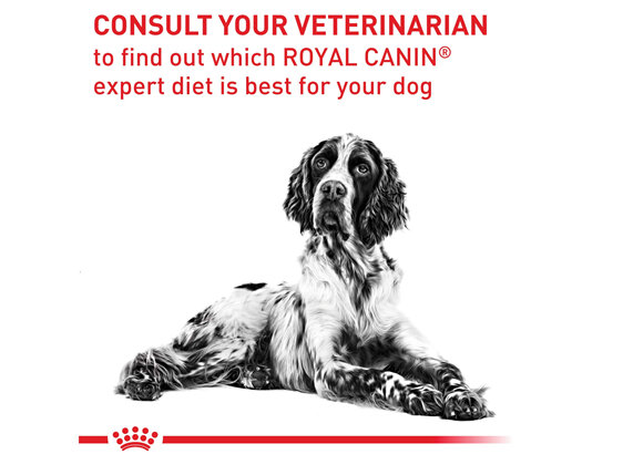 ROYAL CANIN® Veterinary Diet Canine Adult Medium Dogs Dry Dog Food