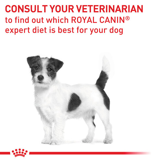 ROYAL CANIN® Veterinary Diet Canine Adult Small Dogs Dry Dog Food