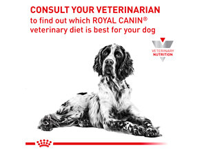 ROYAL CANIN® Veterinary Diet Canine Anallergenic Dry Dog Food