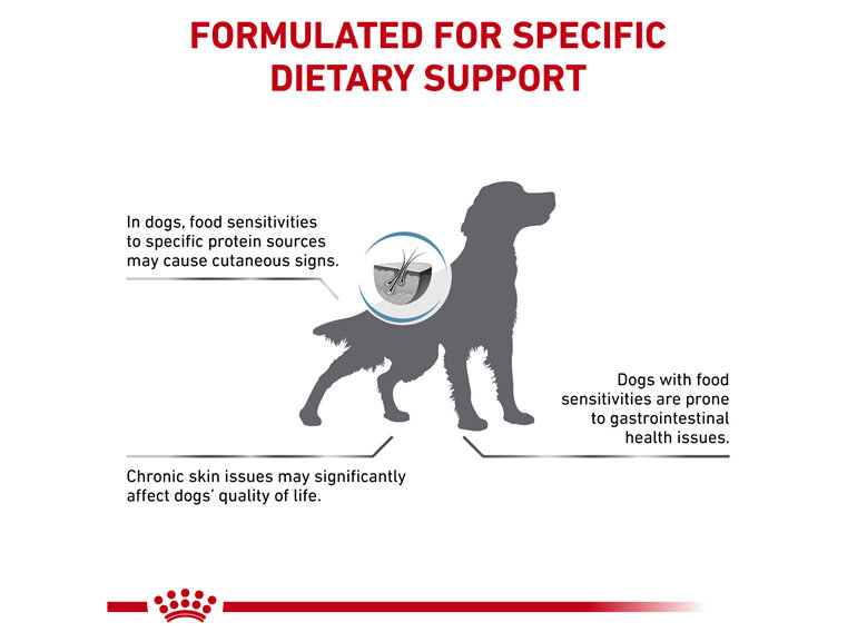 ROYAL CANIN® Veterinary Diet Canine Anallergenic Dry Dog Food