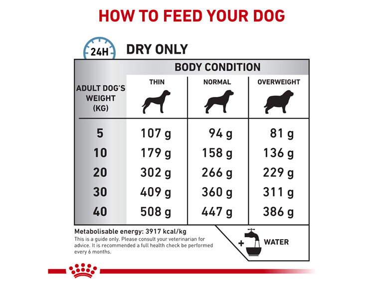 ROYAL CANIN® Veterinary Diet Canine Anallergenic Dry Dog Food