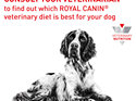 ROYAL CANIN® Veterinary Diet Canine Anallergenic Dry Dog Food