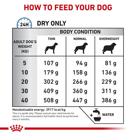 ROYAL CANIN® Veterinary Diet Canine Anallergenic Dry Dog Food