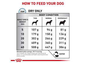 ROYAL CANIN® Veterinary Diet Canine Anallergenic Dry Dog Food