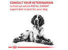 ROYAL CANIN® Veterinary Diet Canine Dental Dry Dog Food