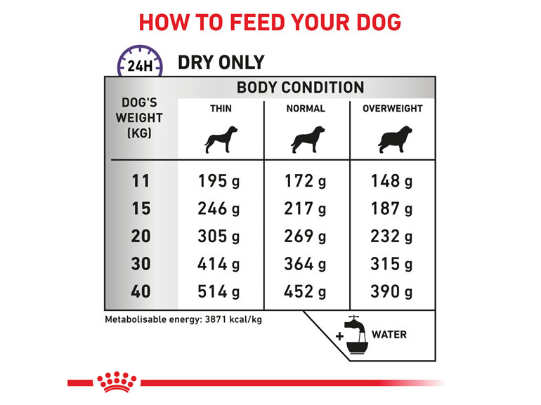 ROYAL CANIN® Veterinary Diet Canine Dental Dry Dog Food