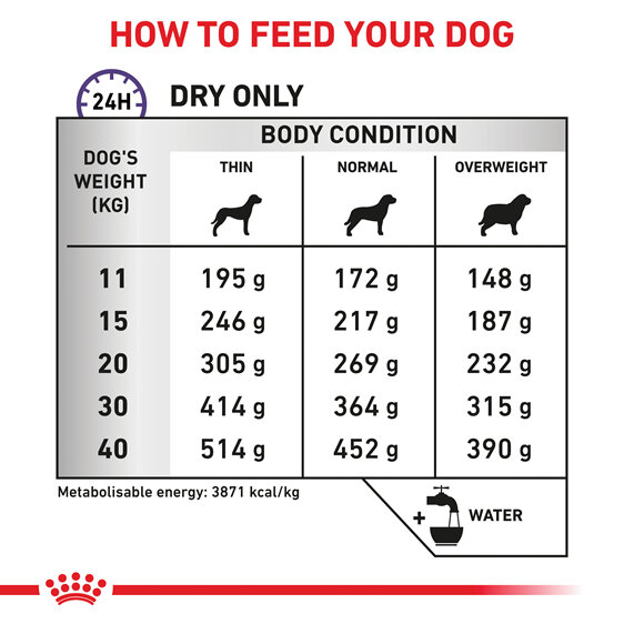 ROYAL CANIN® Veterinary Diet Canine Dental Dry Dog Food