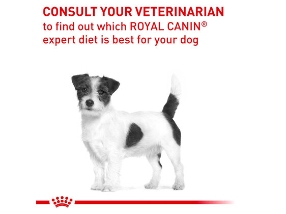 ROYAL CANIN® Veterinary Diet Canine Dental Small Dogs Dry Dog Food