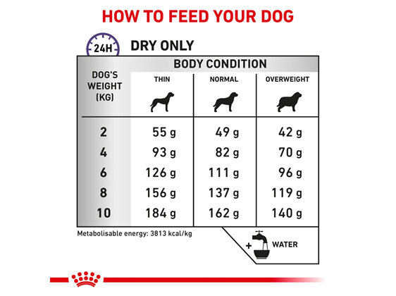 ROYAL CANIN® Veterinary Diet Canine Dental Small Dogs Dry Dog Food