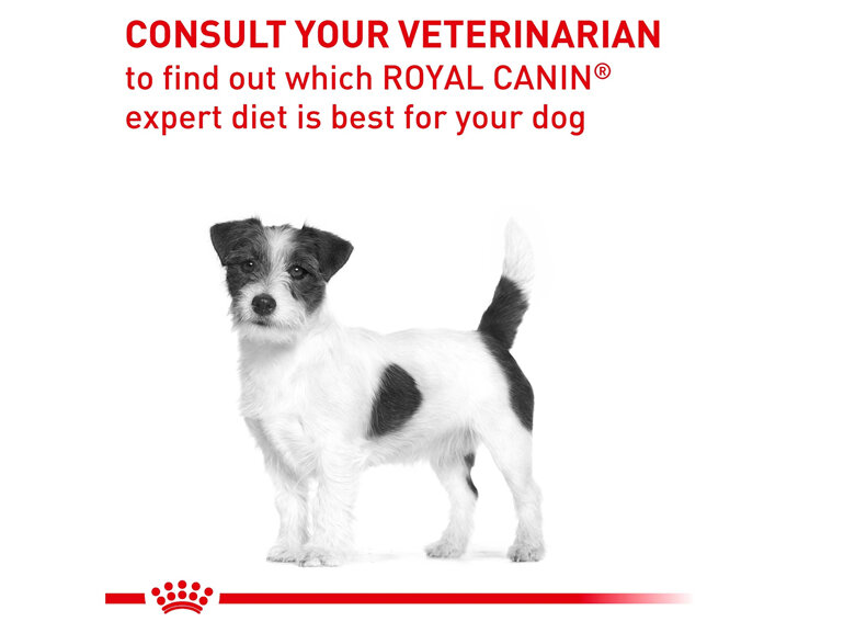 ROYAL CANIN® Veterinary Diet Canine Dental Small Dogs Dry Dog Food