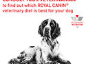 ROYAL CANIN® Veterinary Diet Canine Diabetic Dry Dog Food