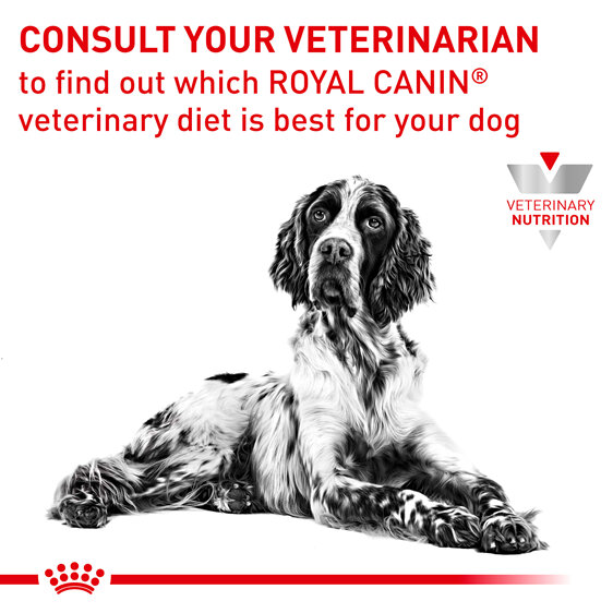 ROYAL CANIN® Veterinary Diet Canine Diabetic Dry Dog Food