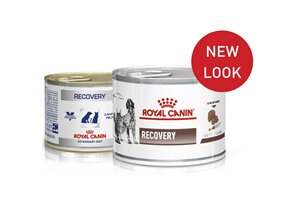 ROYAL CANIN® Veterinary Diet Canine & Feline Recovery Canned Wet Dog & Cat Food 195g