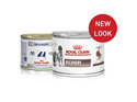 ROYAL CANIN® Veterinary Diet Canine & Feline Recovery Canned Wet Dog & Cat Food 195g