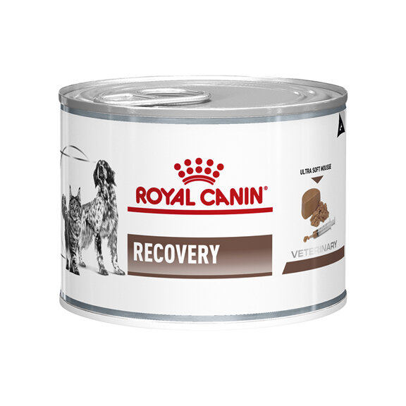 ROYAL CANIN® Veterinary Diet Canine & Feline Recovery Canned Wet Dog & Cat Food 195g