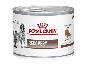 ROYAL CANIN® Veterinary Diet Canine & Feline Recovery Canned Wet Dog & Cat Food 195g