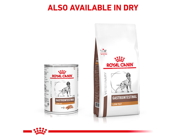 ROYAL CANIN® Veterinary Diet Canine Gastrointestinal Low Fat Canned Wet Dog Food 410g