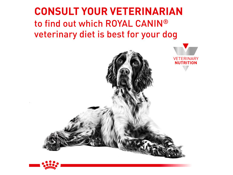 ROYAL CANIN® Veterinary Diet Canine Gastrointestinal Low Fat Canned Wet Dog Food 410g