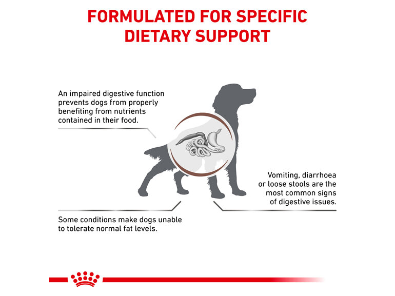 ROYAL CANIN® Veterinary Diet Canine Gastrointestinal Low Fat Canned Wet Dog Food 410g