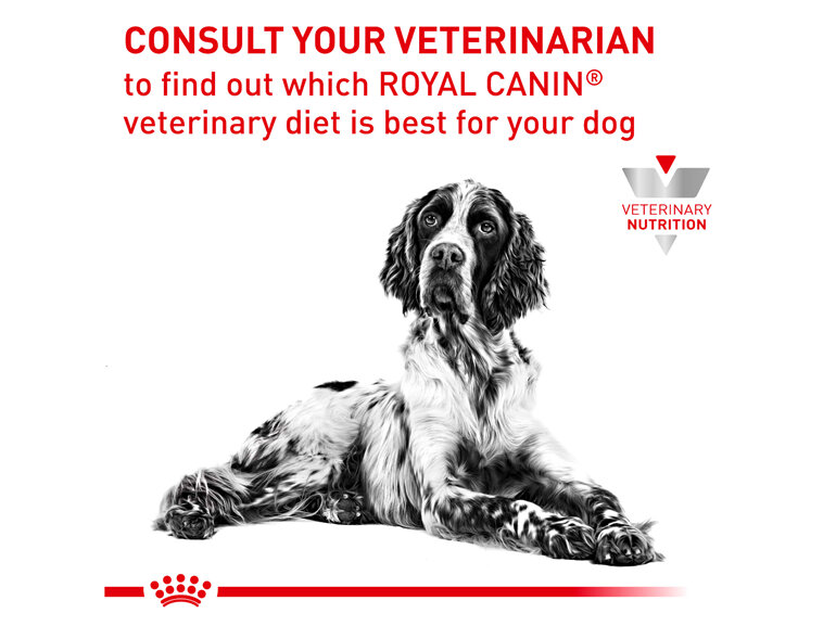 ROYAL CANIN® Veterinary Diet Canine Hypoallergenic Canned Wet Dog Food 400g