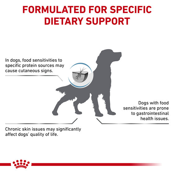 ROYAL CANIN® Veterinary Diet Canine Hypoallergenic Dry Dog Food