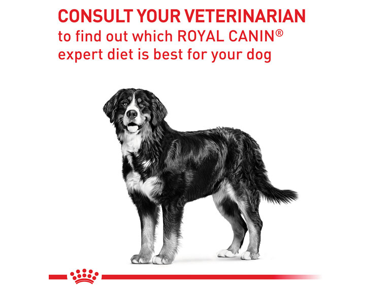 ROYAL CANIN® Veterinary Diet Canine Mature Consult Large Dogs Dry Dog Food