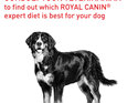 ROYAL CANIN® Veterinary Diet Canine Mature Consult Large Dogs Dry Dog Food