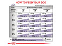 ROYAL CANIN® Veterinary Diet Canine Mature Consult Medium Dogs Dry Dog Food