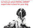 ROYAL CANIN® Veterinary Diet Canine Mature Consult Medium Dogs Dry Dog Food